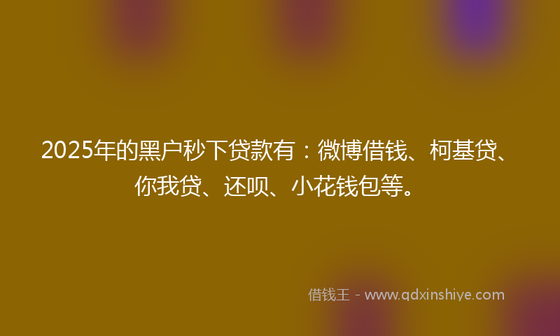 2025年的黑户秒下贷款有：微博借钱、柯基贷、你我贷、还呗、小花钱包等。