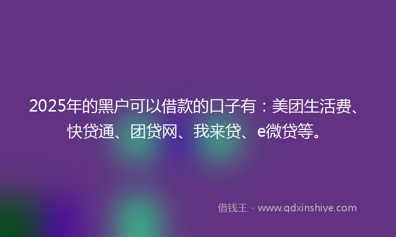 2025年的黑户可以借款的口子有：美团生活费、快贷通、团贷网、我来贷、e微贷等。