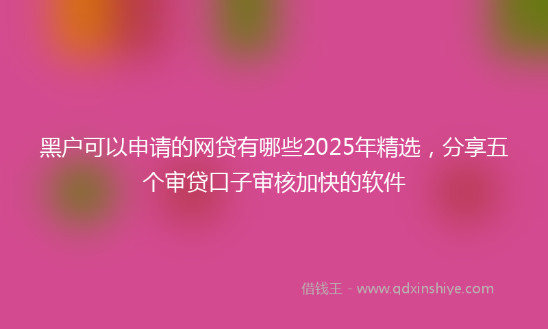 黑户可以申请的网贷有哪些2025年精选，分享五个审贷口子审核加快的软件