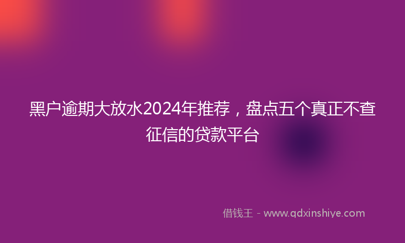 黑户逾期大放水2024年推荐，盘点五个真正不查征信的贷款平台