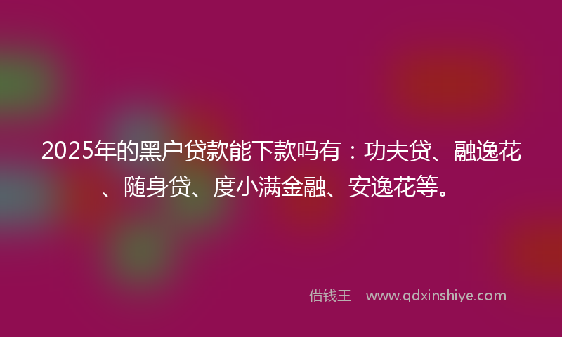 2025年的黑户贷款能下款吗有：功夫贷、融逸花、随身贷、度小满金融、安逸花等。