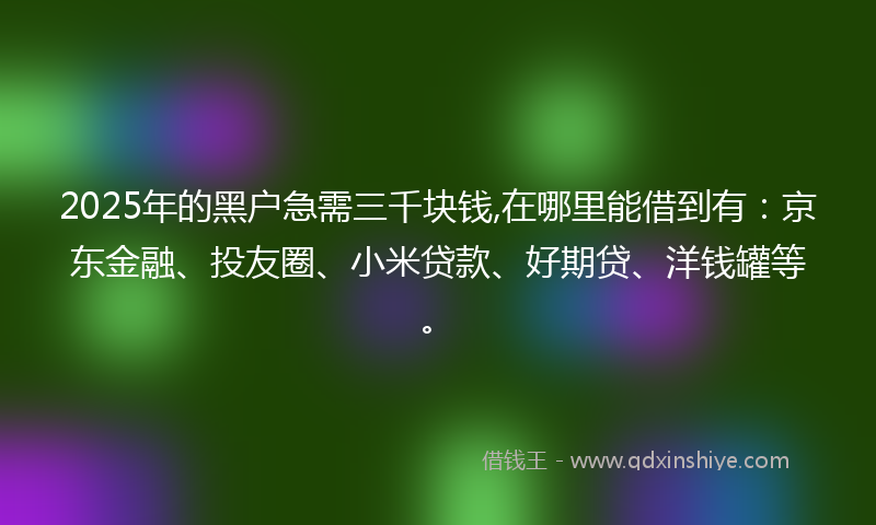2025年的黑户急需三千块钱,在哪里能借到有：京东金融、投友圈、小米贷款、好期贷、洋钱罐等。