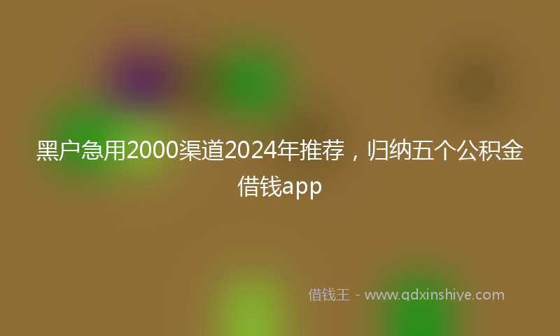 黑户急用2000渠道2024年推荐，归纳五个公积金借钱app