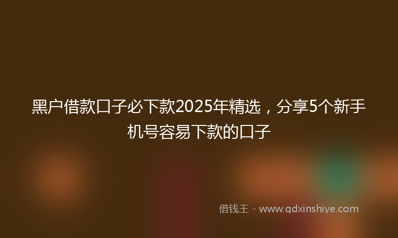黑户借款口子必下款2025年精选，分享5个新手机号容易下款的口子