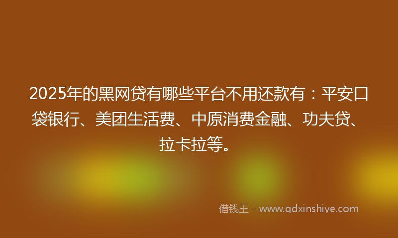 2025年的黑网贷有哪些平台不用还款有：平安口袋银行、美团生活费、中原消费金融、功夫贷、拉卡拉等。