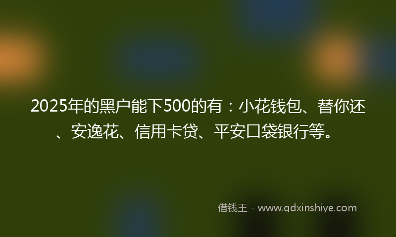 2025年的黑户能下500的有：小花钱包、替你还、安逸花、信用卡贷、平安口袋银行等。