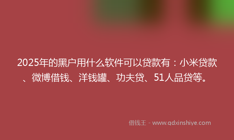 2025年的黑户用什么软件可以贷款有：小米贷款、微博借钱、洋钱罐、功夫贷、51人品贷等。