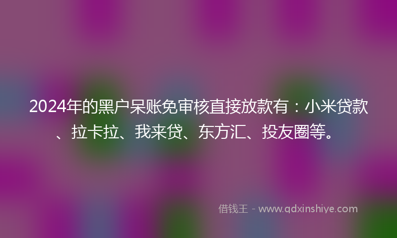 2024年的黑户呆账免审核直接放款有：小米贷款、拉卡拉、我来贷、东方汇、投友圈等。