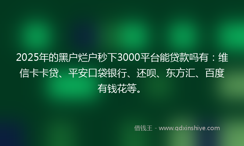 2025年的黑户烂户秒下3000平台能贷款吗有：维信卡卡贷、平安口袋银行、还呗、东方汇、百度有钱花等。
