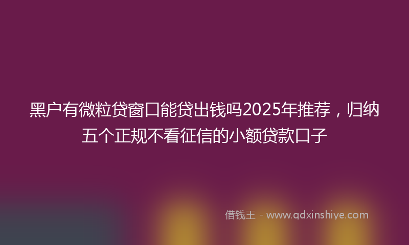 黑户有微粒贷窗口能贷出钱吗2025年推荐，归纳五个正规不看征信的小额贷款口子
