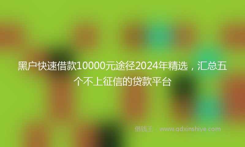 黑户快速借款10000元途径2024年精选，汇总五个不上征信的贷款平台