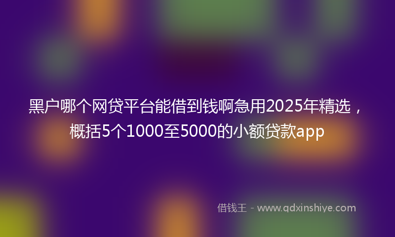 黑户哪个网贷平台能借到钱啊急用2025年精选，概括5个1000至5000的小额贷款app