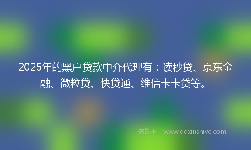 2025年的黑户贷款中介代理有：读秒贷、京东金融、微粒贷、快贷通、维信卡卡贷等。
