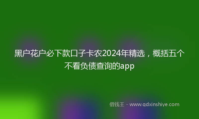 黑户花户必下款口子卡农2024年精选，概括五个不看负债查询的app