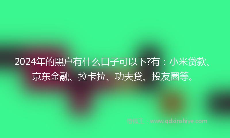2024年的黑户有什么口子可以下?有：小米贷款、京东金融、拉卡拉、功夫贷、投友圈等。