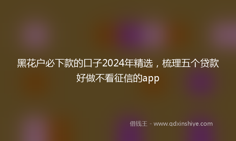 黑花户必下款的口子2024年精选，梳理五个贷款好做不看征信的app