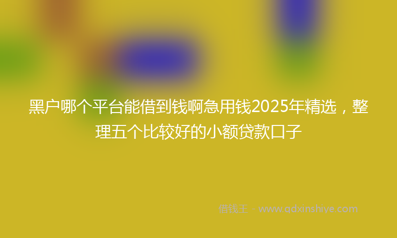 黑户哪个平台能借到钱啊急用钱2025年精选，整理五个比较好的小额贷款口子