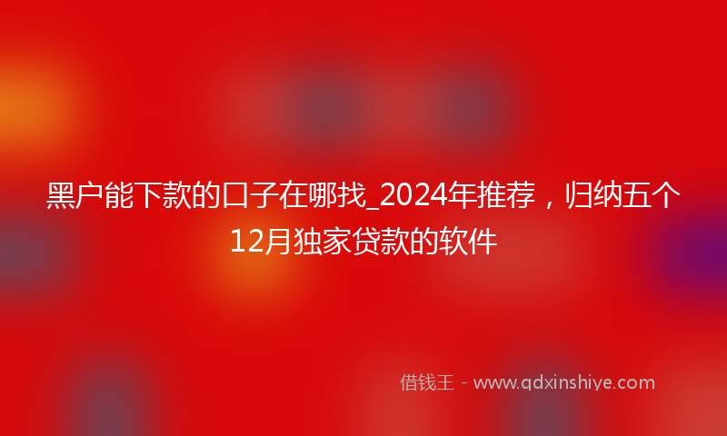 黑户能下款的口子在哪找_2024年推荐，归纳五个12月独家贷款的软件