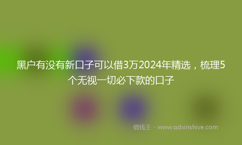 黑户有没有新口子可以借3万2024年精选，梳理5个无视一切必下款的口子
