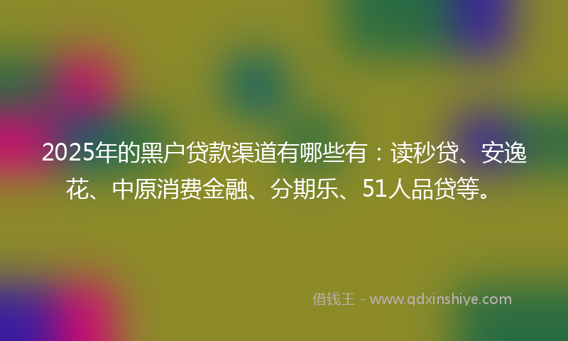 2025年的黑户贷款渠道有哪些有：读秒贷、安逸花、中原消费金融、分期乐、51人品贷等。