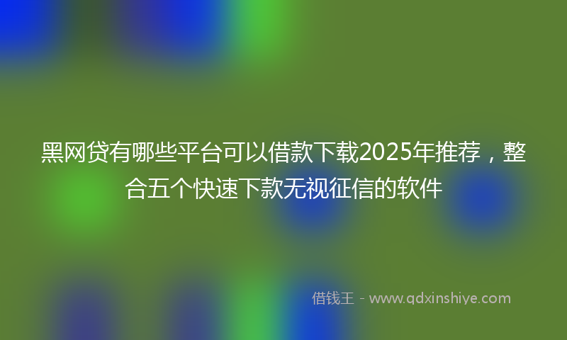 黑网贷有哪些平台可以借款下载2025年推荐，整合五个快速下款无视征信的软件