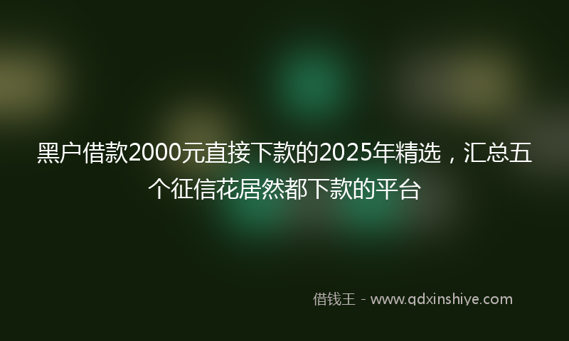 黑户借款2000元直接下款的2025年精选，汇总五个征信花居然都下款的平台