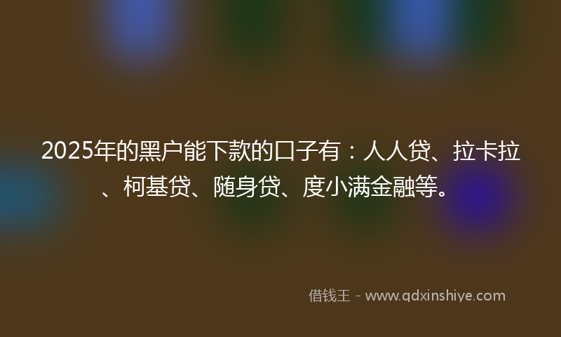 2025年的黑户能下款的口子有：人人贷、拉卡拉、柯基贷、随身贷、度小满金融等。