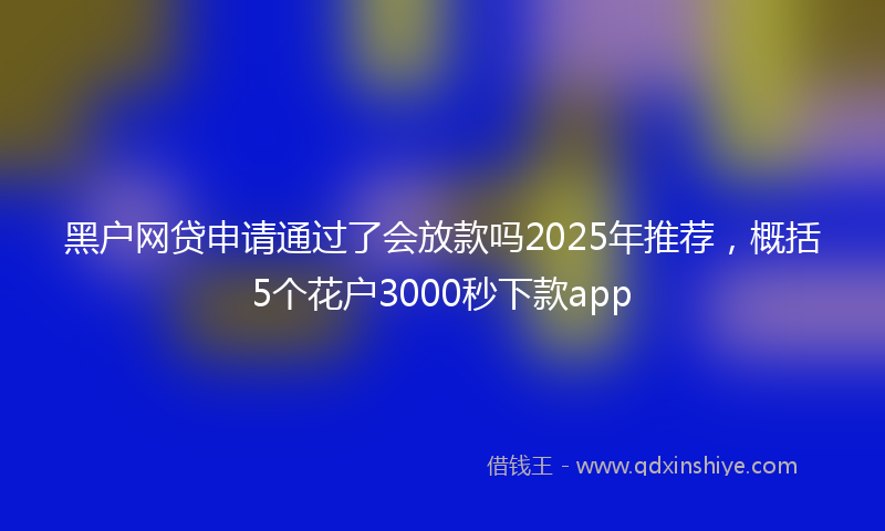 黑户网贷申请通过了会放款吗2025年推荐，概括5个花户3000秒下款app