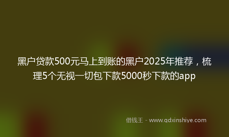 黑户贷款500元马上到账的黑户2025年推荐，梳理5个无视一切包下款5000秒下款的app