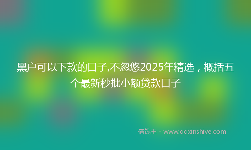 黑户可以下款的口子,不忽悠2025年精选，概括五个最新秒批小额贷款口子