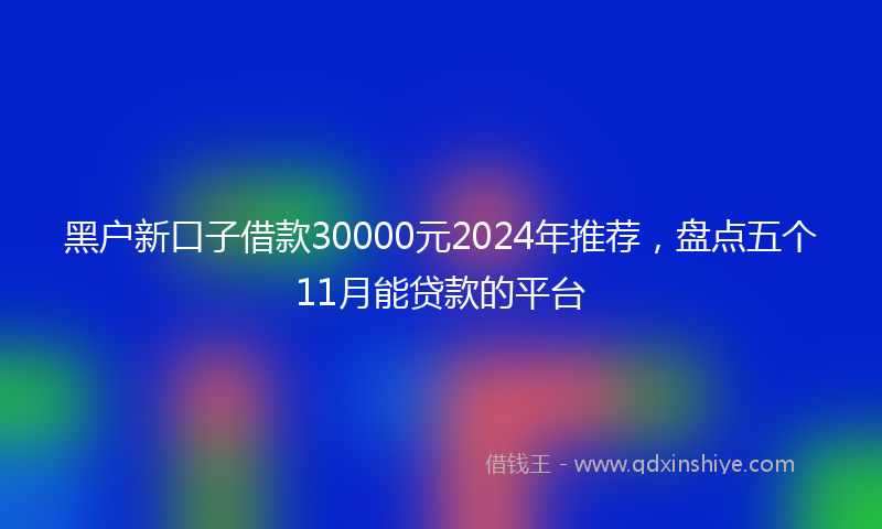 黑户新口子借款30000元2024年推荐，盘点五个11月能贷款的平台