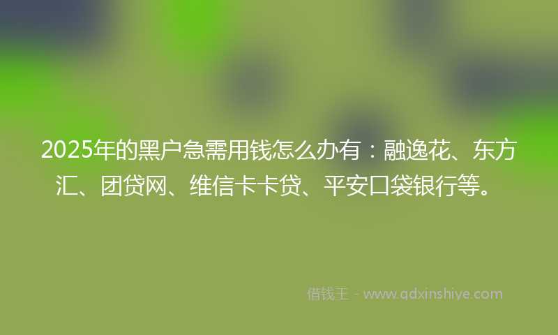 2025年的黑户急需用钱怎么办有：融逸花、东方汇、团贷网、维信卡卡贷、平安口袋银行等。