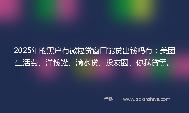 2025年的黑户有微粒贷窗口能贷出钱吗有：美团生活费、洋钱罐、滴水贷、投友圈、你我贷等。