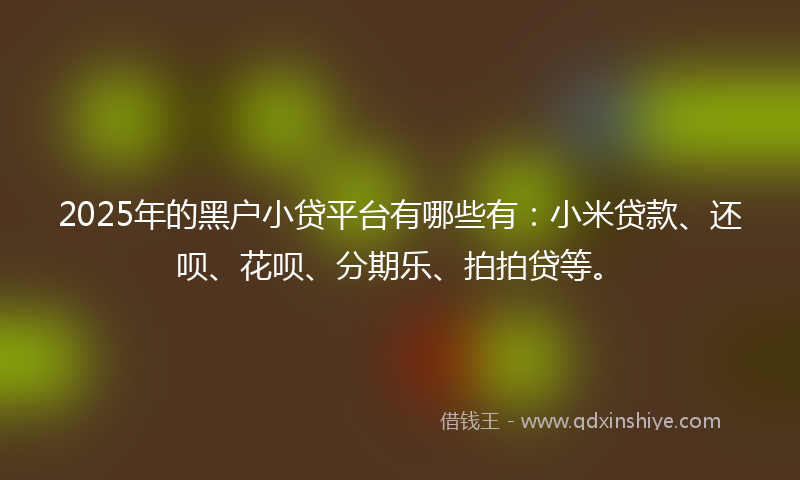 2025年的黑户小贷平台有哪些有：小米贷款、还呗、花呗、分期乐、拍拍贷等。