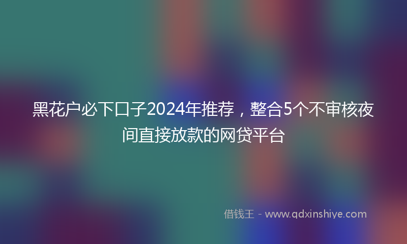 黑花户必下口子2024年推荐，整合5个不审核夜间直接放款的网贷平台