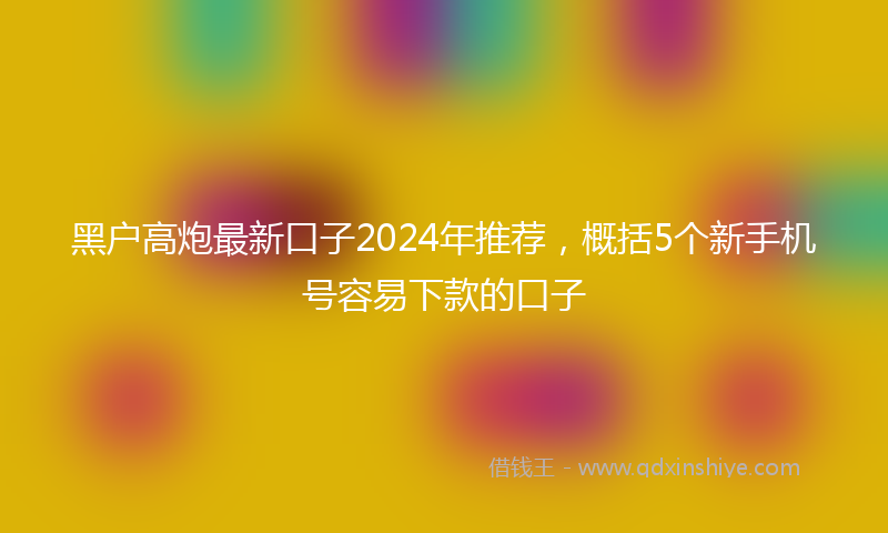 黑户高炮最新口子2024年推荐，概括5个新手机号容易下款的口子