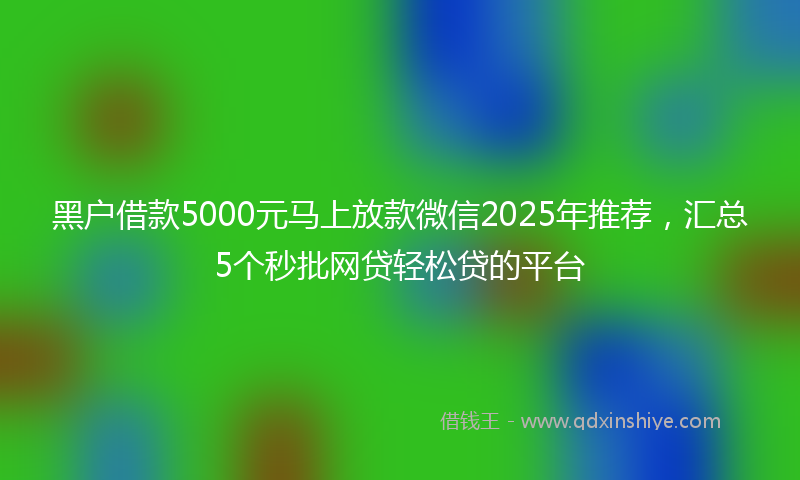 黑户借款5000元马上放款微信2025年推荐，汇总5个秒批网贷轻松贷的平台
