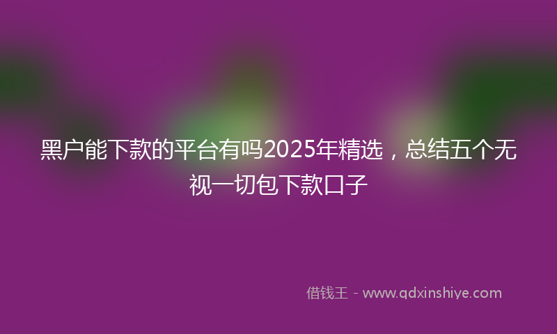 黑户能下款的平台有吗2025年精选，总结五个无视一切包下款口子
