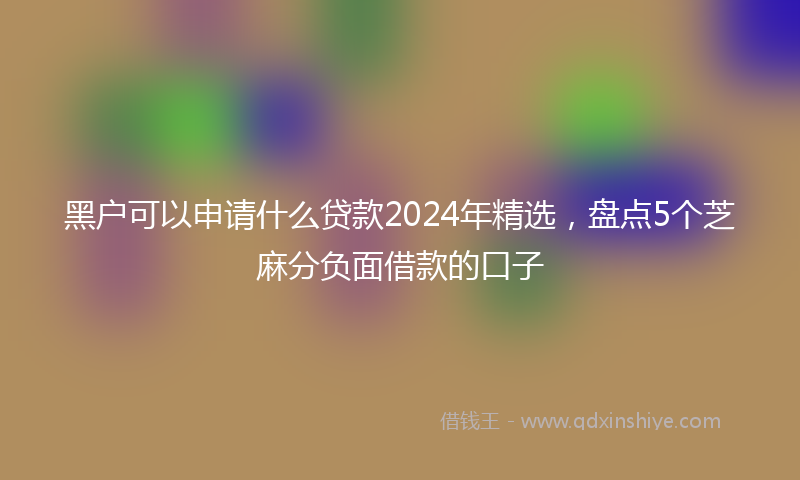 黑户可以申请什么贷款2024年精选，盘点5个芝麻分负面借款的口子
