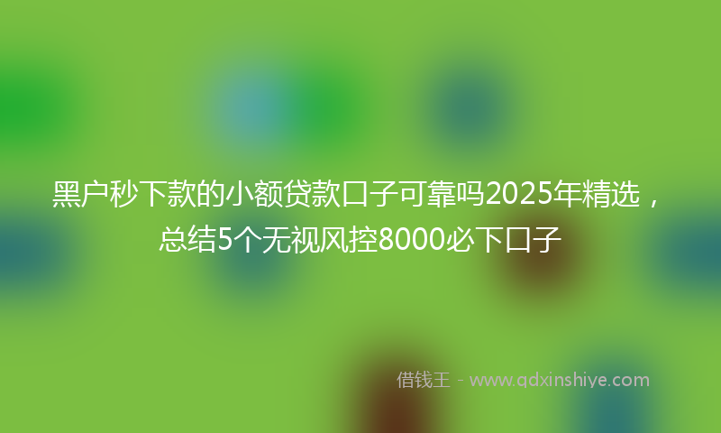 黑户秒下款的小额贷款口子可靠吗2025年精选，总结5个无视风控8000必下口子