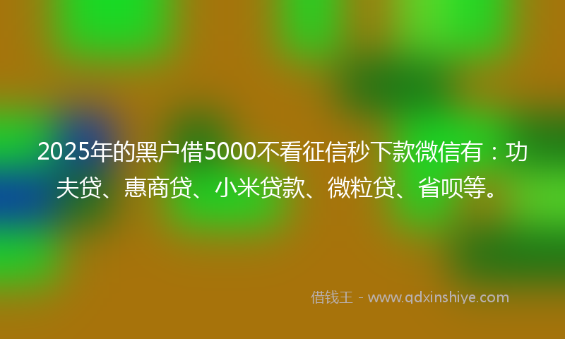 2025年的黑户借5000不看征信秒下款微信有：功夫贷、惠商贷、小米贷款、微粒贷、省呗等。