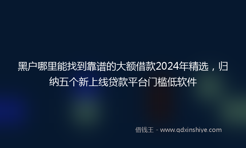 黑户哪里能找到靠谱的大额借款2024年精选，归纳五个新上线贷款平台门槛低软件
