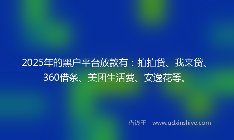 2025年的黑户平台放款有：拍拍贷、我来贷、360借条、美团生活费、安逸花等。