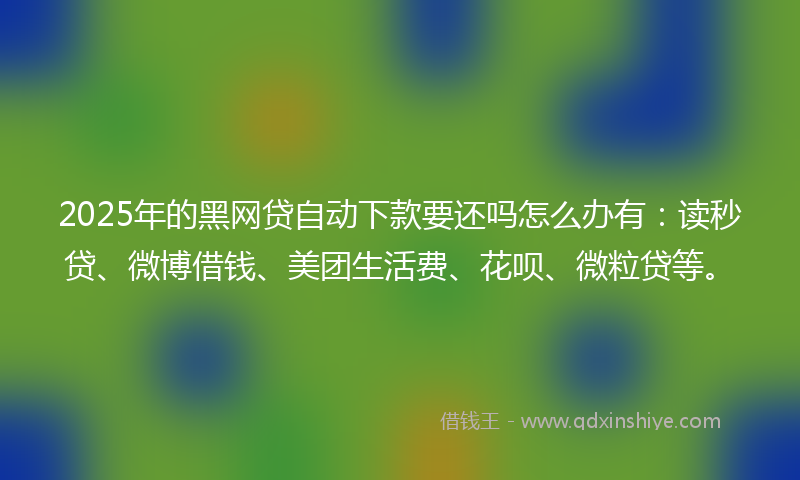 2025年的黑网贷自动下款要还吗怎么办有：读秒贷、微博借钱、美团生活费、花呗、微粒贷等。