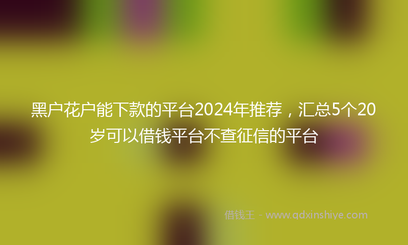 黑户花户能下款的平台2024年推荐，汇总5个20岁可以借钱平台不查征信的平台