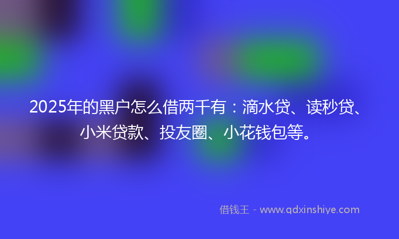 2025年的黑户怎么借两千有：滴水贷、读秒贷、小米贷款、投友圈、小花钱包等。