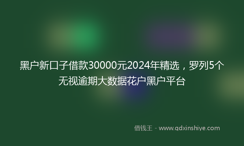 黑户新口子借款30000元2024年精选，罗列5个无视逾期大数据花户黑户平台