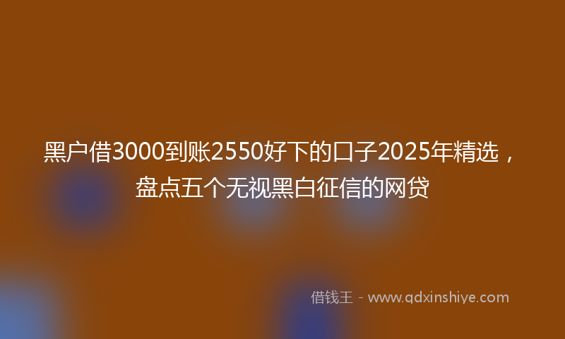 黑户借3000到账2550好下的口子2025年精选，盘点五个无视黑白征信的网贷