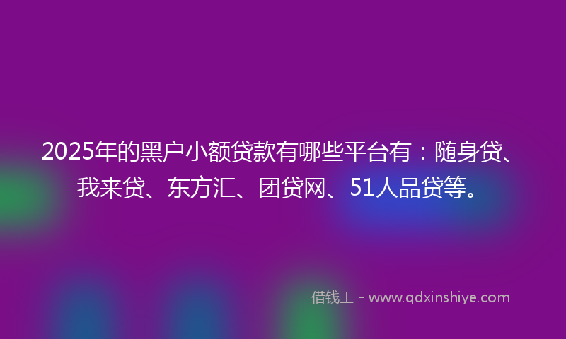 2025年的黑户小额贷款有哪些平台有：随身贷、我来贷、东方汇、团贷网、51人品贷等。