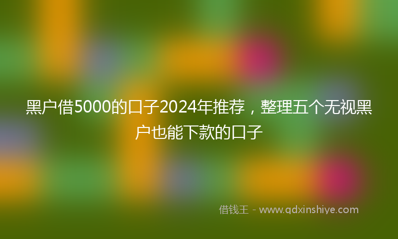 黑户借5000的口子2024年推荐，整理五个无视黑户也能下款的口子